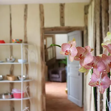 Sainte-marie 4* ミランド