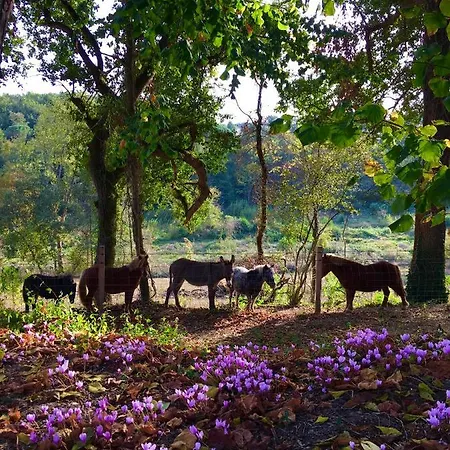 Sainte-marie Alojamento de Acomodação e Pequeno-almoço *