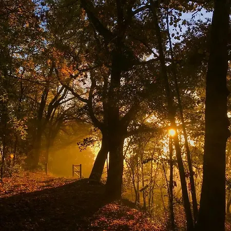 ベッド・アンド・ブレックファスト Sainte-marie