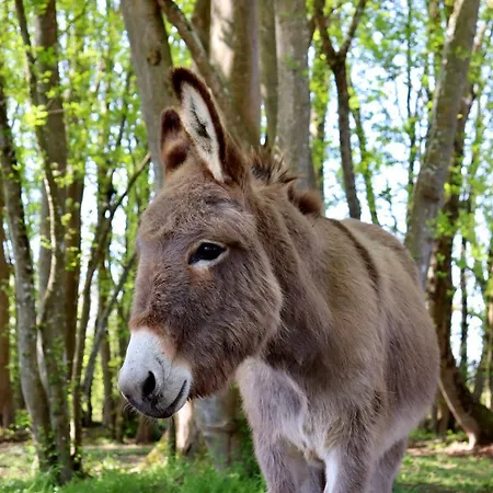 Sainte-marie ベッド・アンド・ブレックファスト ミランド