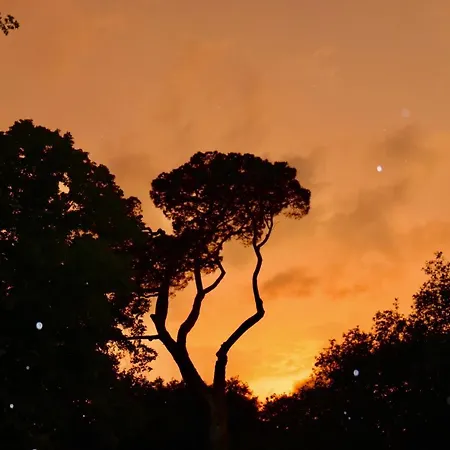 Sainte-marie ベッド・アンド・ブレックファスト